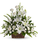 Peaceful White Lilies Basket from Swindler and Sons Florists in Wilmington, OH